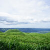 Thumbnail of related posts 166