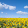 Thumbnail of related posts 088