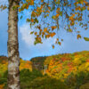 Thumbnail of related posts 145