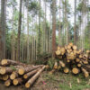 Thumbnail of related posts 075