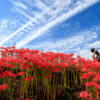 Thumbnail of related posts 179