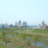 Thumbnail of related posts 089