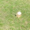 Thumbnail of related posts 134
